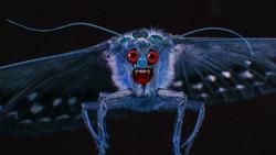 В Астраханской области начинается сезон вредителей