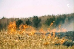 В Астраханской области 21 и 22 июля сохраняется чрезвычайная пожароопасность
