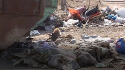 Астраханца оштрафуют за выкинутый в неположенном месте мусор