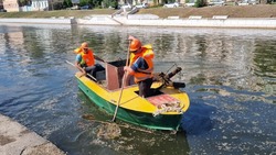 В Астрахани началась масштабная операция по очистке городских каналов от мусора