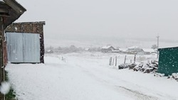 В Волгоградской области село завалило снегом