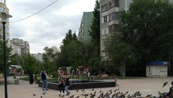 Коммунальные службы Астрахани наводят чистоту на улицах