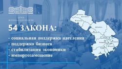 В первом полугодии Дума Астраханской области приняла 54 закона