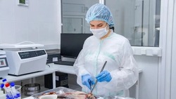 В астраханской рыбе нашли опасных паразитов