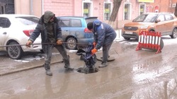 В Астрахани аварийные службы извлекли из засорившейся сети канализации куртку и баранью шкуру