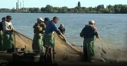 Около 700 вакансий открыто в рыбной отрасли Астраханской области