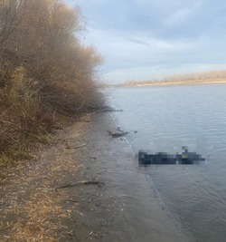 Тело пропавшего рыбака из Мытищ найдено в Черноярском районе