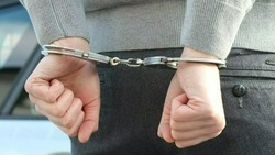 В Астрахани арестовали подозреваемого в мошенничестве по делу «Экоприюта» Андрея Невлюдова