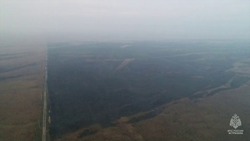 В Астраханской области зафиксировали возгорание камыша и сухой растительности