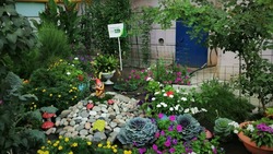 Астраханская администрация проводит конкурс «Сами садик мы садили»