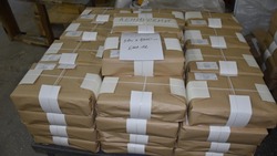 Астраханские бюллетени для выборов уже готовы