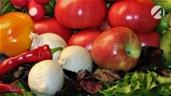 Экспорт продукции АПК в Астраханской области превысил план на 48 %