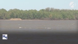 В конце апреля в Астраханской области начнётся весенний попуск воды