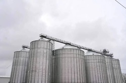 В строительство мукомольного комплекса в Астраханской области инвестировали свыше 600  млн рублей