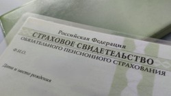 Как получить данные о своём утерянном СНИЛС