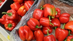 События в Иране повлияли на стоимость импортных овощей в Ставропольском крае