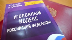 Астраханку приговорили к трём месяцам исправительных работ за неуплату алиментов