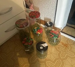 У астраханца нашли семь банок марихуаны