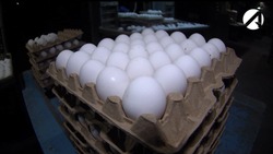 У астраханского пенсионера из дома украли яйца