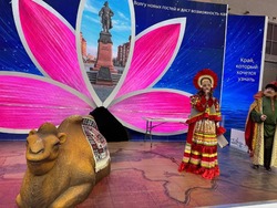 В день предпринимательства стенд Астраханской области на ВДНХ посетили 2,5 тысячи человек