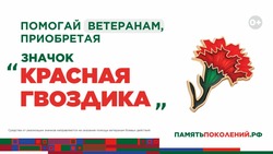 Астраханцы присоединятся к акции «Красная гвоздика»
