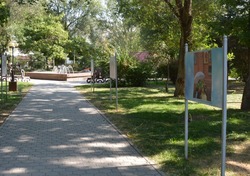 В Братском саду открылась выставка призёров конкурса «Селфи с Астраханью»