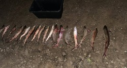 Астраханская полиция продолжает борьбу с браконьерством