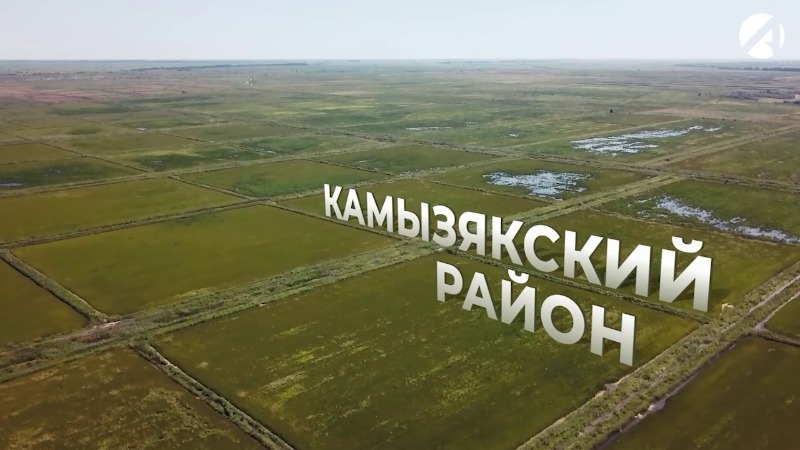 Камызякский район