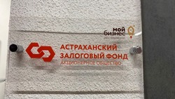 Астраханский залоговый фонд лидирует по эффективности в ЮФО
