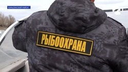 В Астраханской области инспекторы рыбоохраны проводят рейды по выявлению нарушителей