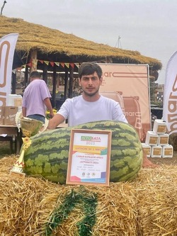 Фермер из Астраханской области вырастил самый большой арбуз в России