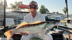 Астраханцы достают из рек пудовых сомов