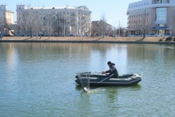 Лебединое озеро в Астрахани стало чище
