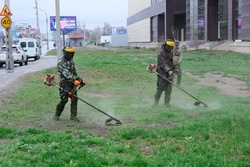 Астрахань очищают от сорняков и камыша