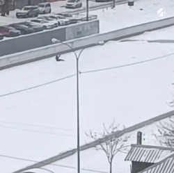 В Астрахани лыжник пытался прокатиться по городскому каналу