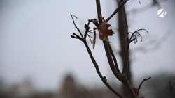 10 декабря в Астрахани ожидается дождь со снегом