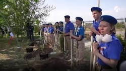 Жители Икрянинского района  присоединились к международной акции «Сад Памяти»