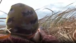 Обученные собаки помогают астраханцам на охоте