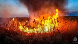 В Астраханской области может появиться запах гари из-за пожаров