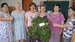 Волонтёры из Камызякского района отправили бойцам СВО сотую масксеть