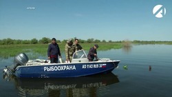 Астраханские инспекторы рыбоохраны провели рейд в Камызякском районе