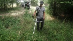 В Астраханской области очищают территории от наркорастений