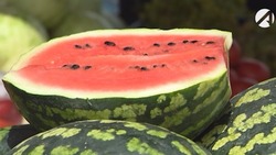 Как безопасно и правильно хранить астраханский арбуз