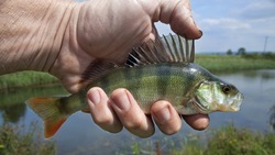 Гости Астраханской области использовали запрещённое орудие лова