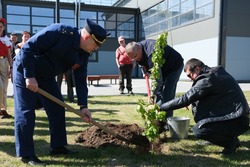Живые памятники: в Камызякском районе высадили деревья