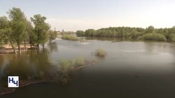 В июле в Астраханской области начнут расчистку ещё одного ерика