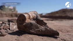 Весенний этап раскопок в Астраханской области оказался богат на находки