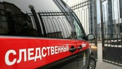 Следком России проводит проверку инцидента в Александро-Мариинской больнице