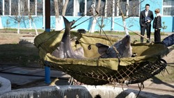 Астраханский губернатор встретился с рыбоводами Икрянинского района