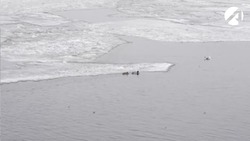 Астраханец помог провалившимся под лёд рыбакам